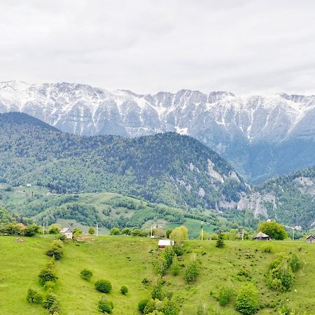 Alpine Escape Studios Măgura Eksteriør bilde