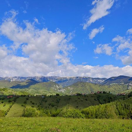Alpine Escape Studios Măgura Eksteriør bilde