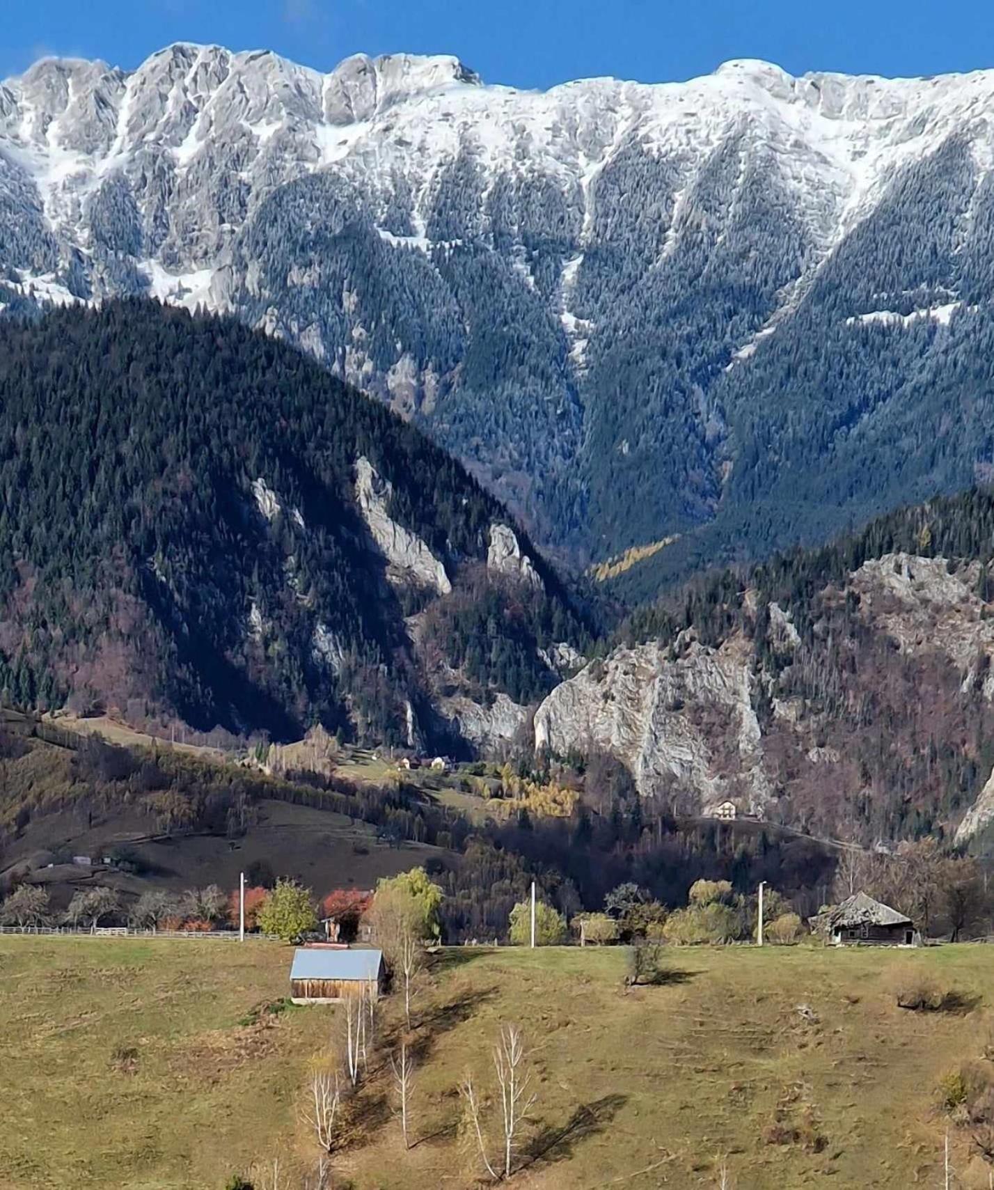 Alpine Escape Studios Măgura Eksteriør bilde