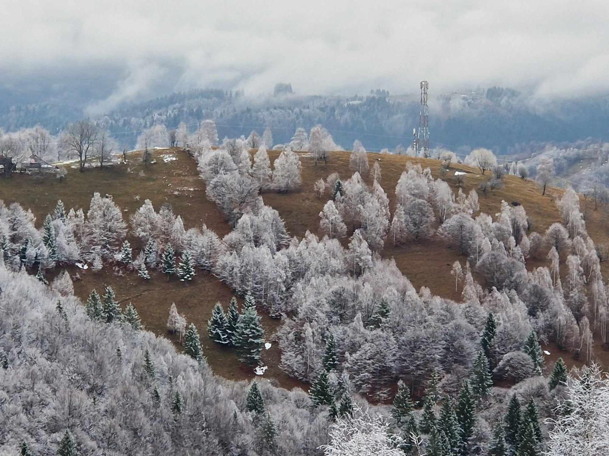 Alpine Escape Studios Măgura Eksteriør bilde