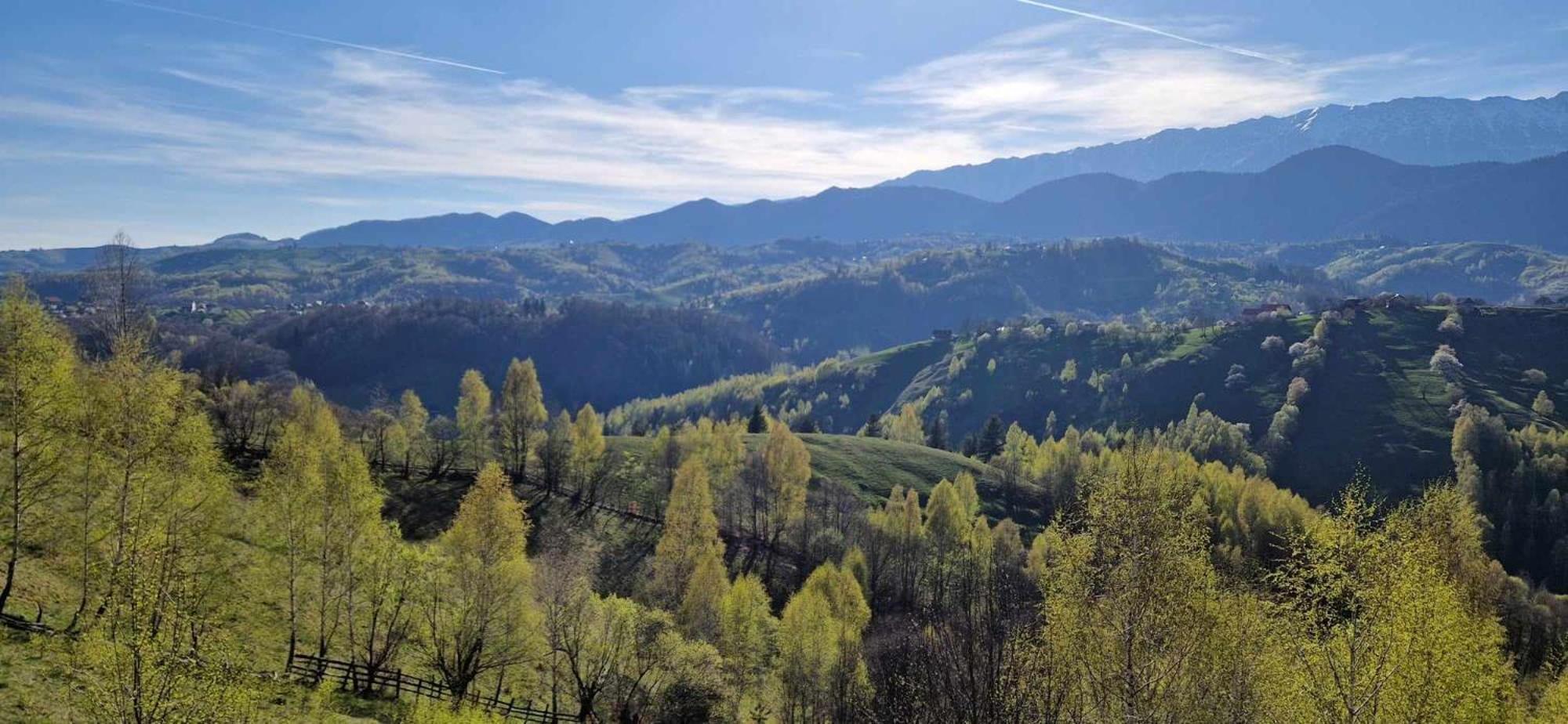 Alpine Escape Studios Măgura Eksteriør bilde