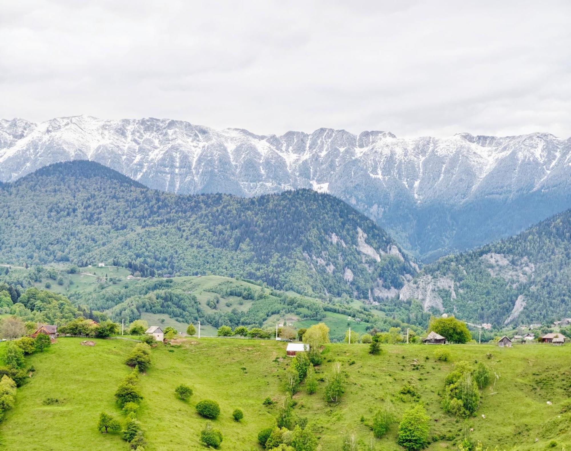 Alpine Escape Studios Măgura Eksteriør bilde