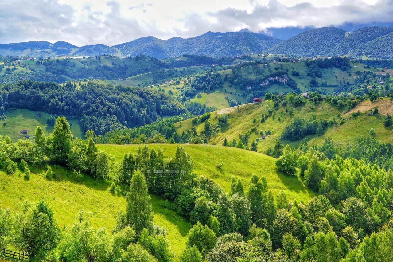 Alpine Escape Studios Măgura Eksteriør bilde