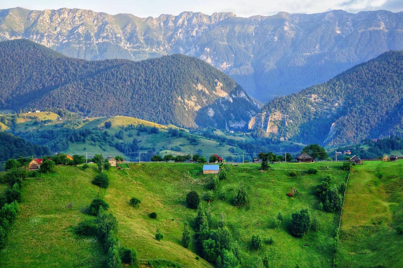 Alpine Escape Studios Măgura Eksteriør bilde