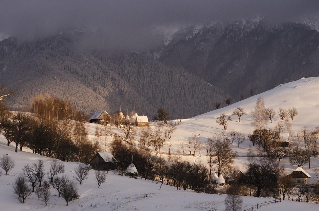Alpine Escape Studios Măgura Eksteriør bilde